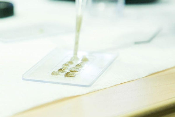Laboratory Supplies - Benz Microscope Optics Center - Poly Dropper -  LiveSlide. Biology, entomology, chemistry, physics.