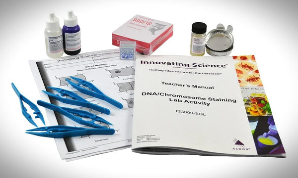 dna chromosome staining lab activity