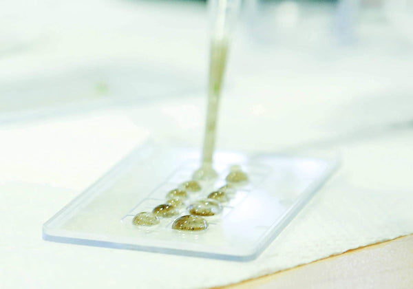 laboratory live slide pipette water drops