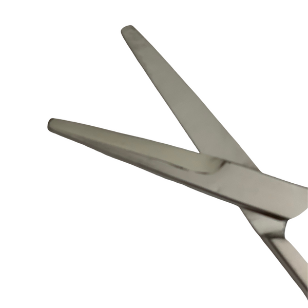 Mayo dissecting scissors on white background, close up blade view