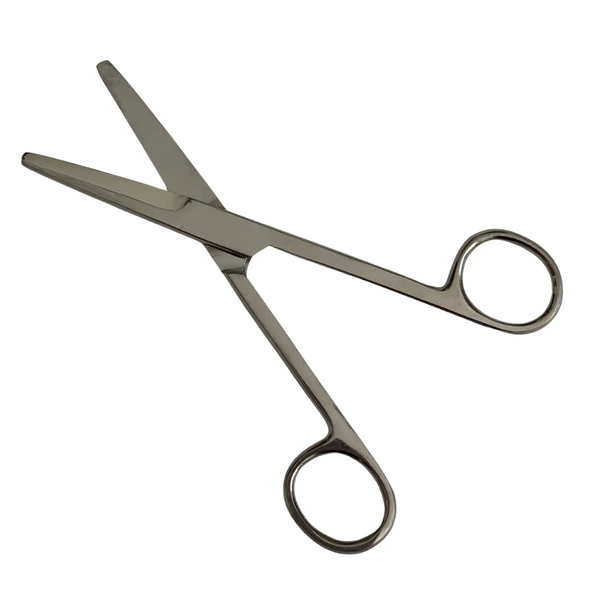 Mayo dissecting scissors on white background, open blade view