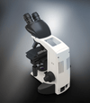Labomed CxL Binocular Series Microscopes (#9135006, 9135010)MicroscopesMicroscopes_CompoundMicroscopes_Labomed9135010