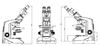 Labomed Lx300 Series MicroscopeMicroscopesMicroscopes_CompoundMicroscopes_Labomed9136001