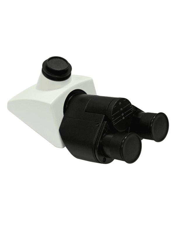 Labomed Lx300 Series MicroscopeMicroscopesMicroscopes_CompoundMicroscopes_Labomed9136001