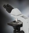 Labomed Lx400 Binocular Series Microscopes (#9126011, 9126017)MicroscopesMicroscopes_CompoundMicroscopes_Labomed9126011