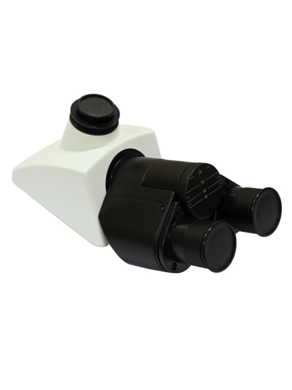 Labomed Lx400 Trinocular Series Compound Microscope (#9126012, 9126018)_Compound Microscopes_Labomed9126012 head