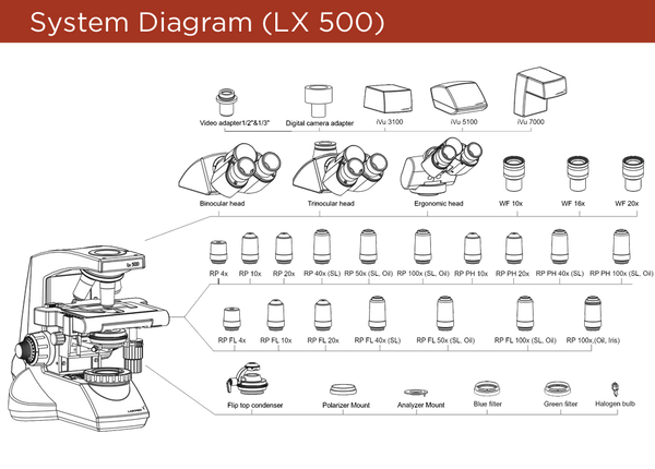Labomed Lx500 Series Trinocular Compound Microscope _Microscopes_Compound_Microscopes_Labomed_9144700 variations