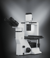 Labomed TCM 400 Inverted Phase Series MicroscopeMicroscopesMicroscopes_InvertedMicroscopes_Labomed7125500