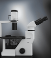 Labomed TCM 400 Inverted Phase Series MicroscopeMicroscopesMicroscopes_InvertedMicroscopes_Labomed7125500