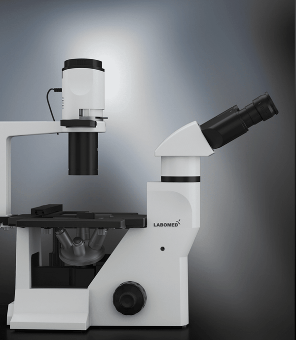 Labomed TCM 400 Inverted Phase Series MicroscopeMicroscopesMicroscopes_InvertedMicroscopes_Labomed7125500