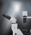 Labomed TCM 400 Inverted Phase Series MicroscopeMicroscopesMicroscopes_InvertedMicroscopes_Labomed7125500