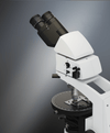 Labomed Upright Lx POL Series Microscope Binocular - 9151001, 9152001 - Benz Microscope Optics Center - head and stage