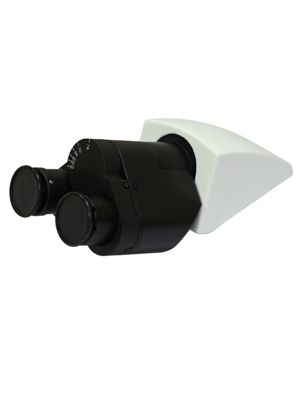Labomed Upright Lx POL Series Microscopes Binocular 915100 - Benz Microscope Optics Center - eyepieces, head only view