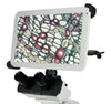 Moticam BTX5 Detachable Digital Tablet - Benz Microscope Optics CenterMoticam BTX5 - 10Microscopes