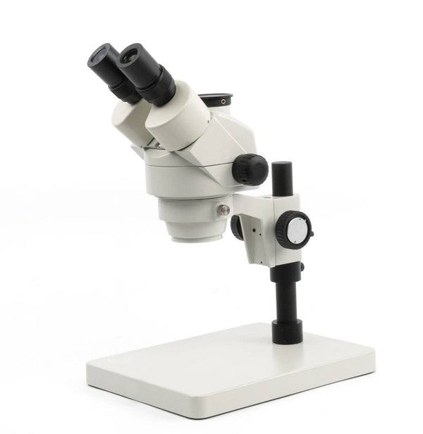 National 440 Series Zoom Stereo Microscope Microscopes_National Microscopes_Stereo_440T - 440P_trinoc flat stand