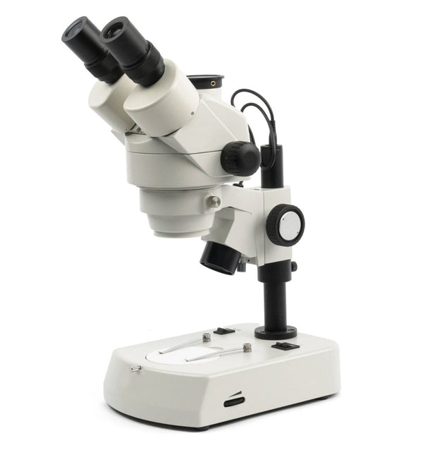 National 440 Series Zoom Stereo Microscope Microscopes_National Microscopes_Stereo_440T - 440PLL_trinoc illum