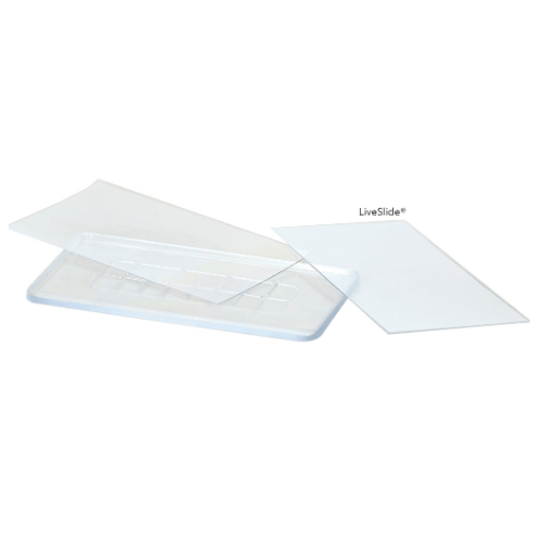 Nature Viewing 10pc SetEducational ActivityGifts_GamesInstructional_Life SciencesBZ4200