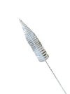 White Nylon Pipette Brush, Tapered, 17" x 3.5" - Benz Microscope Optics Center3027Laboratory Supplies