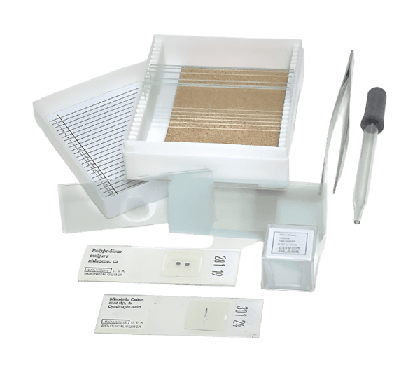 Benz Microscope Glass Slide Variety Packmicroscope slidesInstructional_Life SciencesLaboratory Supplies_ConsumablesBZK2010