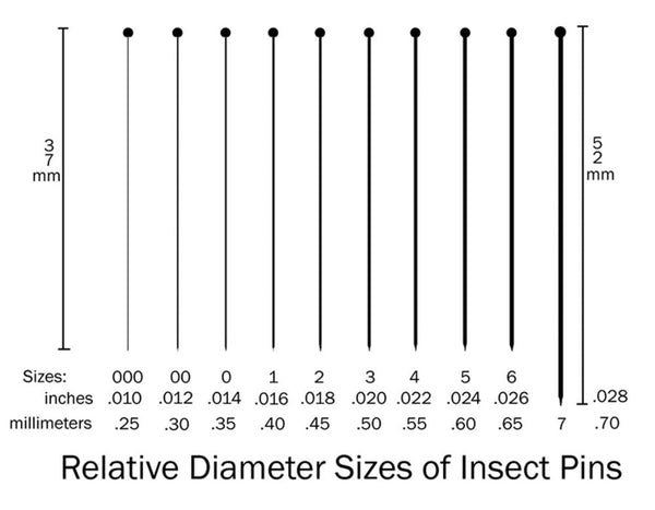 Benz Microscope Premium Black Enameled Insect Pins, size chart, Instructional_Entomology, Laboratory Supplies SKU 3248