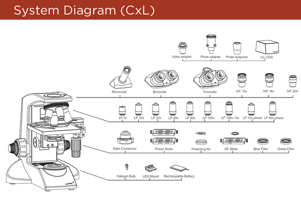 System diamgram of Labomed CxL Series Microscopes.