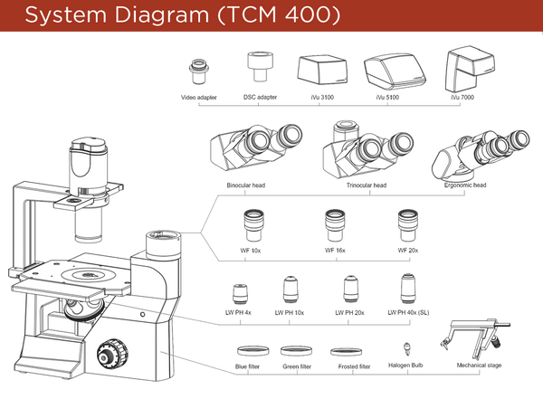 Labomed TCM 400 Inverted Phase Series MicroscopeMicroscopesMicroscopes_InvertedMicroscopes_Labomed7125500