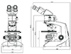 Labomed Upright Lx POL Series Microscope Binocular, Trinocular - 9151001, 9152001 - Benz Microscope Optics Center -schematic
