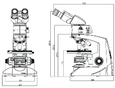 Labomed Upright Lx POL Series Microscope Binocular, Trinocular - 9151001, 9152001 - Benz Microscope Optics Center -schematic