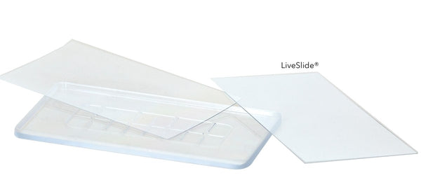 LiveSlide® Plastic Slide and Cover Slips for Live Organisms - Benz Microscope Optics CenterLS01Laboratory Supplies