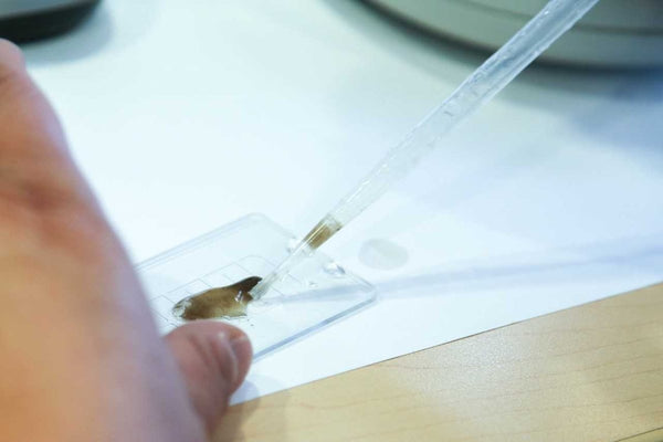 LiveSlide® Plastic Slide and Cover Slips for Live Organisms - Benz Microscope Optics CenterLS01Laboratory Supplies