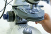 LiveSlide® Plastic Slide and Cover Slips for Live Organisms - Benz Microscope Optics CenterLS01Laboratory Supplies