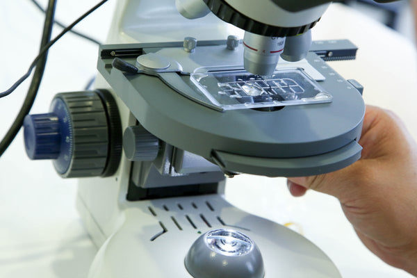LiveSlide® Plastic Slide and Cover Slips for Live Organisms - Benz Microscope Optics CenterLS01Laboratory Supplies