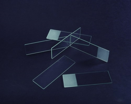 Premiere Beveled Edge Glass Microscope Slides, 3"x1", view 2, Laboratory Supplies_Slides and Accessories. slides, SKU 2010B