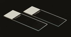Premiere Charged Microscope Slides 3"x1" White Painted End, Laboratory Supplies_Consumables_Slides and Accessories SKU 2018