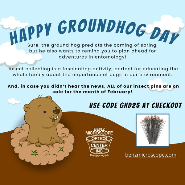 Happy Ground Hog Day!