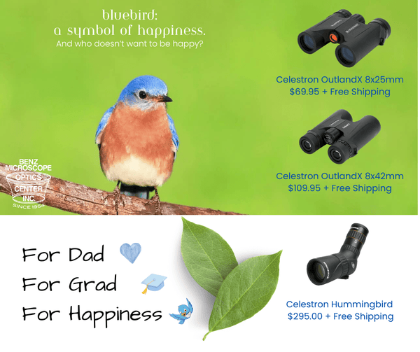 Bluebirds = Happiness - Benz Microscope Optics Center