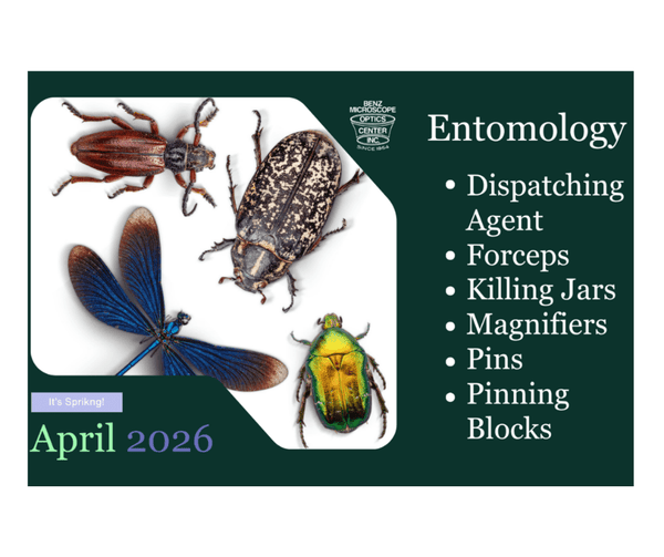 Happy Spring!! It's Entomology Season! - Benz Microscope Optics Center