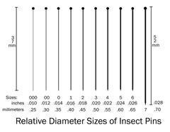 Premium Stainless Steel Insect Pins, Sizes 000 through 4, pk/50 (3258 - 3264)