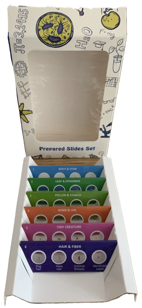 24 Specimen Slide Assortment in 6 Categories, for Biology EducationPrepared SlidesInstructional_EntomologyInstructional_Life Sciences