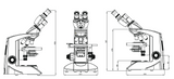 Labomed Lx300 Series Microscopes Binoc and Trinoc (#9136001, 9136003)
