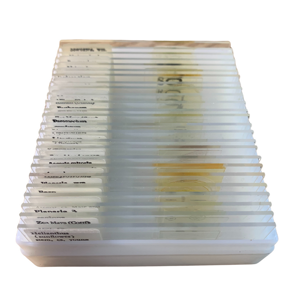 Basic Biology Slide Set, 25 Prepared Slide in Plastic Case