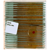 Advanced General Science Slide Set, 25 Prepared Slide in Plastic CasePrepared SlidesInstructional_Life SciencesMade in USA94013