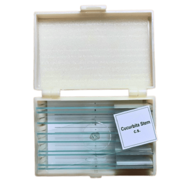 Basic Biology Prepared Slide Set, 10 Glass Slides inside Flip - top Plastic CasePrepared SlidesInstructional_Life Sciences