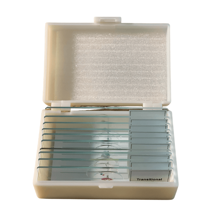 Basic Glass Slide Set, 10 Prepared Slides, beginner biology