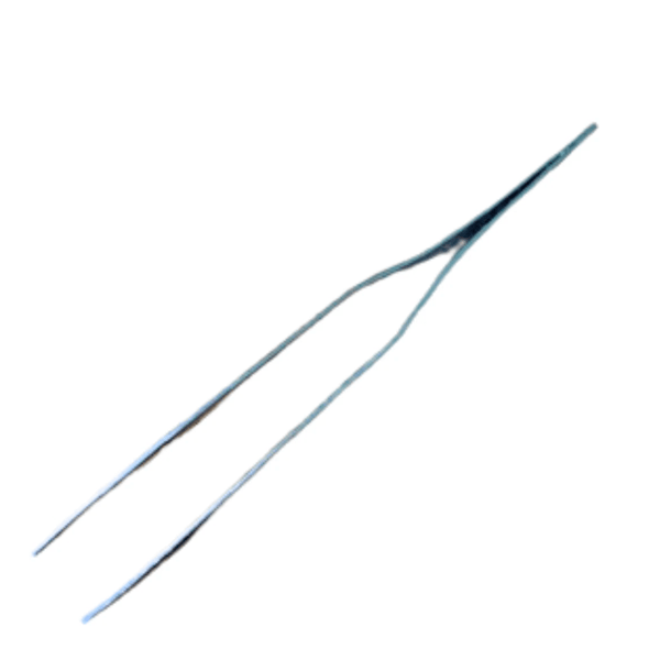 Chicago Cartilage Dissecting ForcepsForcepsInstructional_Life SciencesLaboratory Supplies_Life Sciences