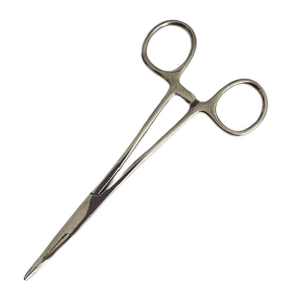 Kelly Forceps, 5" Curved, Polished Stainless Steel front view