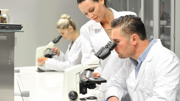 Labomed Lx300 Binocular Series Microscope, 9136001MicroscopesMicroscopes_CompoundMicroscopes_Labomed9136001