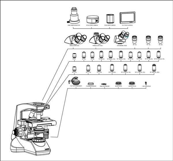 Labomed Lx500 Series Trinocular Microscopes, 9144700, 9144500LMicroscopesMicroscopes_CompoundMicroscopes_Labomed9144700