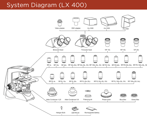 System Diagram of Labomed LX 400. Reflecting innovations in optical and illumination design as well as mechanical breakthroughs, the Lx 400 delivers unparalleled performance to price value to an expanding list of delighted users.