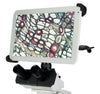National BTI1 Digital Microscope with Tablet, TrinocularMicroscopesMicroscopes_CompoundMicroscopes_DigitalBTI2-169-SP